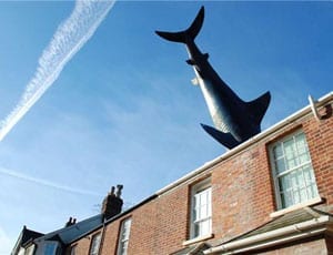 A home for Jaws