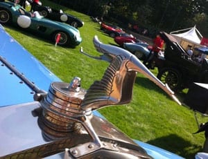 A week of spectacular cars