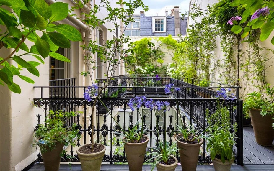 Belgravia in Bloom