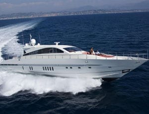 Boating Bull