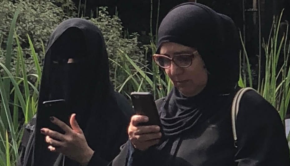 Bozos, Burkas and Farage