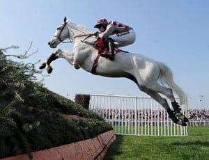 Touting Cheltenham