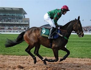 The theatre of dreams and the home to real men and horses