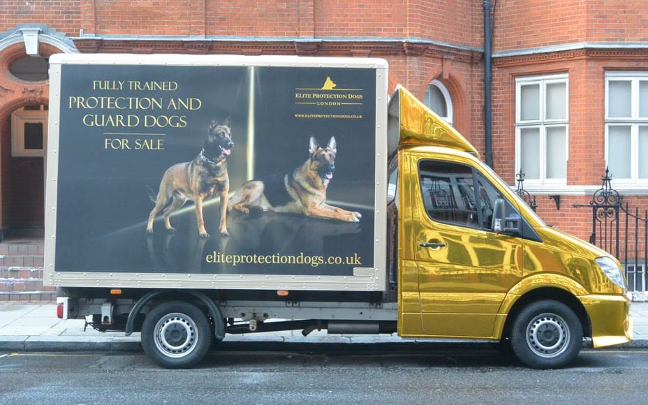 Dogging Assange