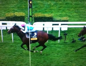 Frankel: The Best