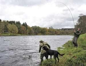 Gone fishing