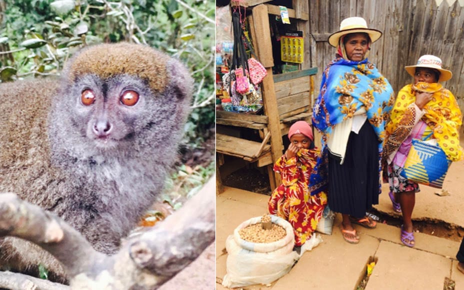 Madness in Madagascar
