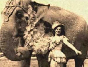 Mary The Elephant (AKA ‘Murderous Mary’)