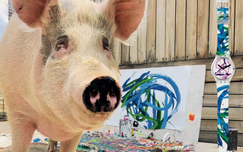 The Brilliance of Pigcasso