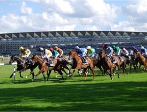 Royal Ascot 2014: A regal week on the turf
