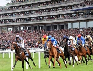 Royal Ascot 2013