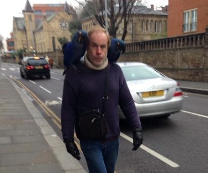 Parrot Man