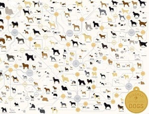 The Diagram of Dogs