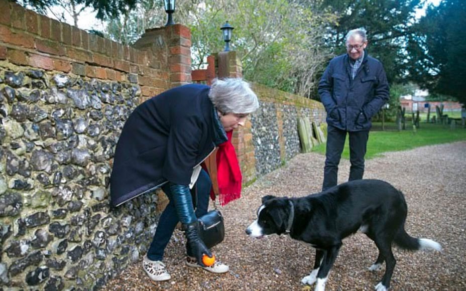 No Faith in Theresa