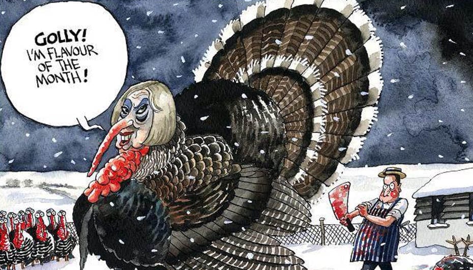 The May Turkey