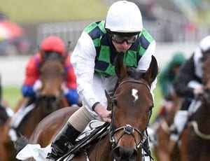 Touting The Derby
