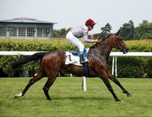A trainer on Treve