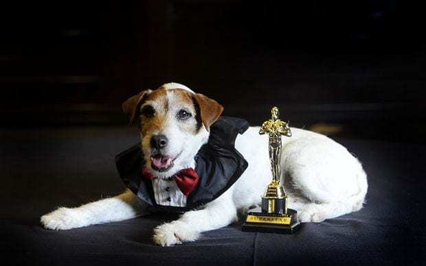 Uggie