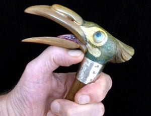 Up before the beak