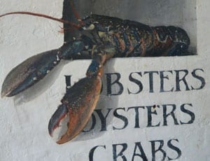 Review – Whitstable Oyster Fishery Company Fish Restaurant