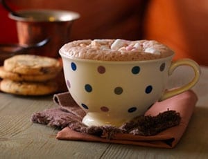 Review: Whittard 77% cocoa flaked drinking chocolate