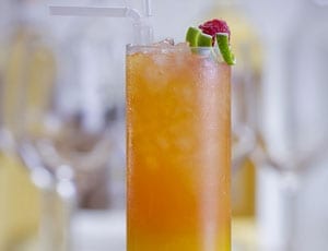 Cheers to Assange!