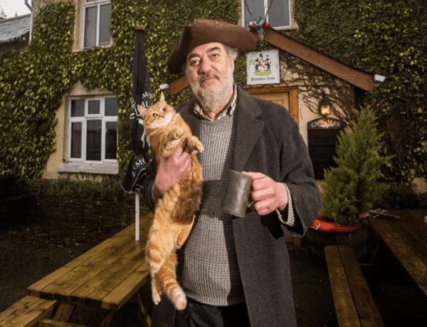 Steve Cotten (AKA ‘Britain’s Grumpiest Landlord’)