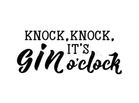 Lockdown The Gin