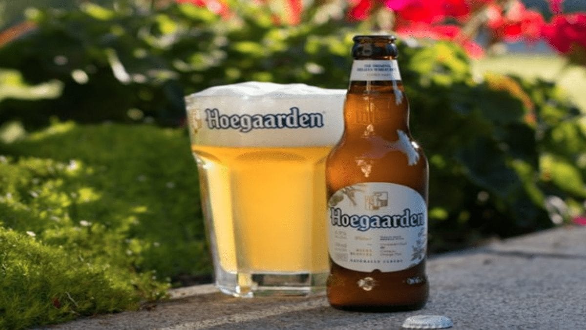 Beer is Very Good For You