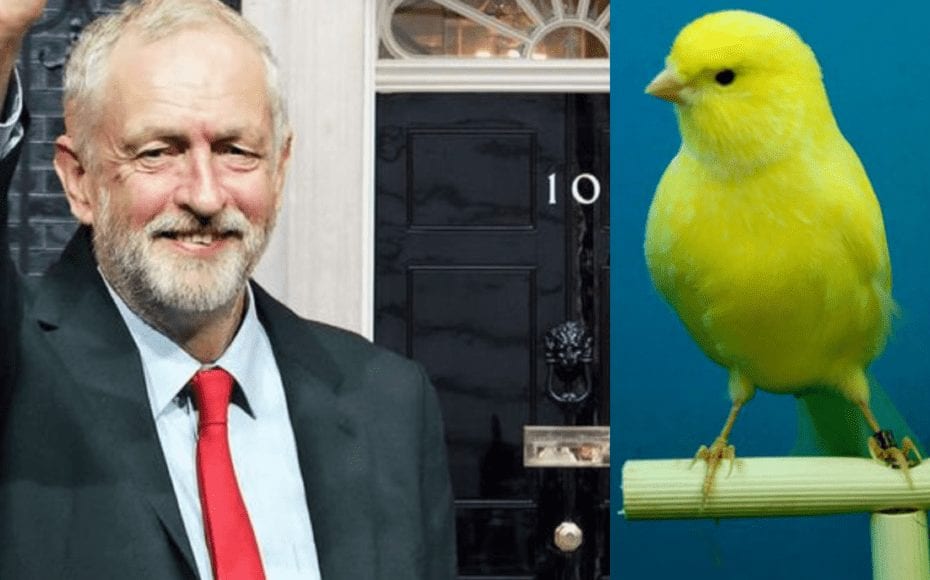 Canary Claims Corbyn Still Hasn’t Croaked