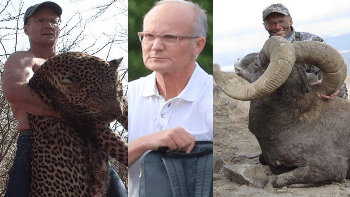 Monster of the Moment – Dr Walter Palmer