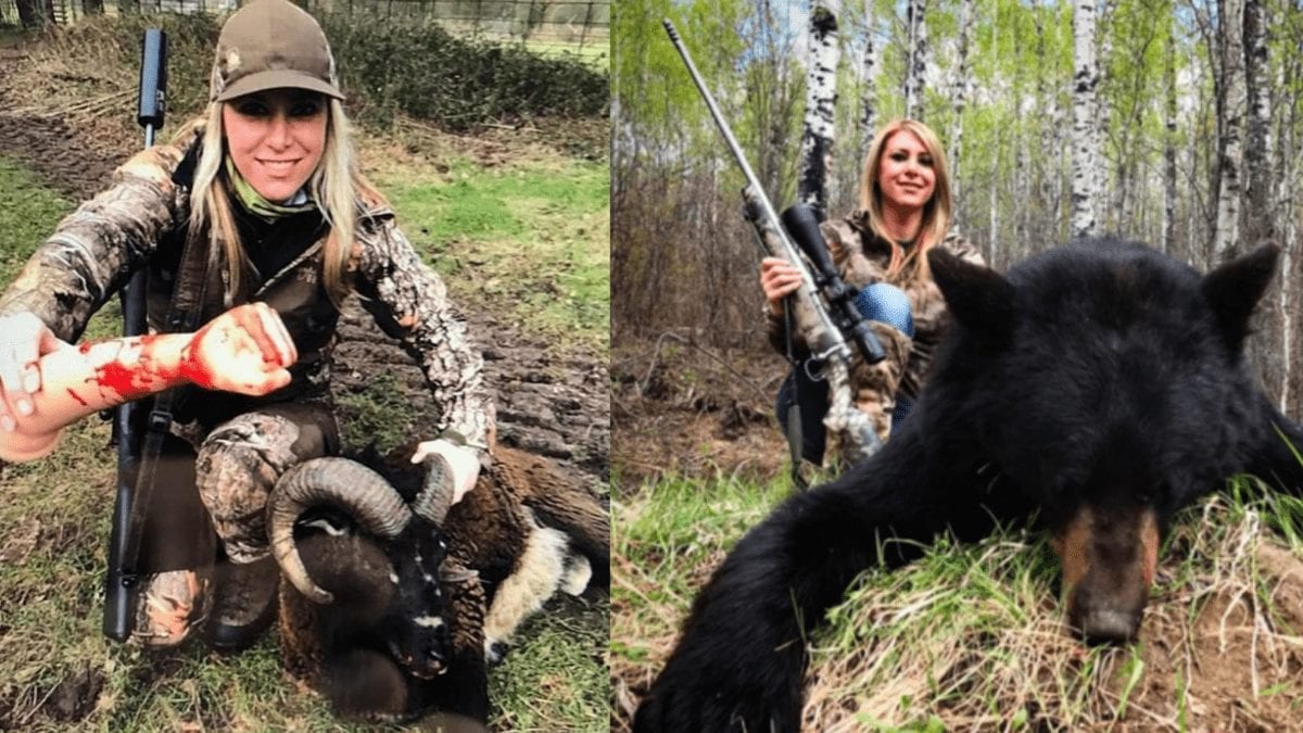 Ban The Bear Slayer – 10,000 Signatures on Petition Against Larysa Switlyk