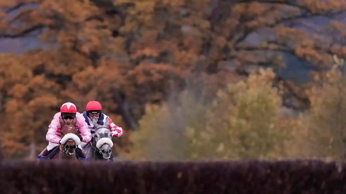 Runners & Riders – The Tingle Creek Chase 2020
