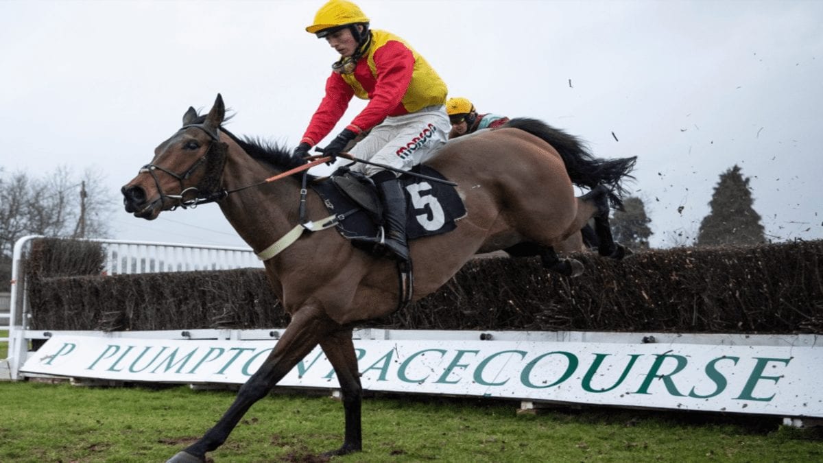 Runners & Riders – Welsh Grand National 2020