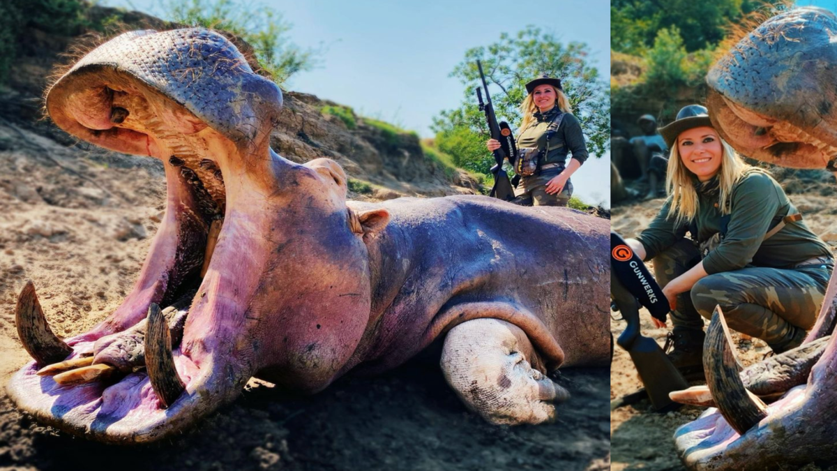 Hippo Harridan 2021 – Larysa Switlyk