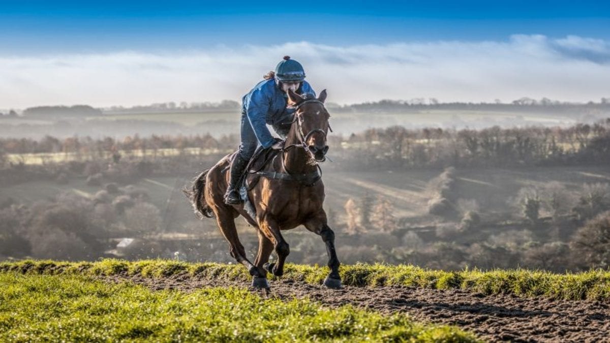 Runners & Riders – The Classic Chase 2021 at Warwick