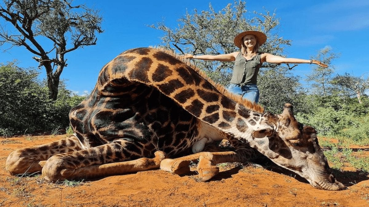 Monster of the Moment 2021 – Merelize van der Merwe