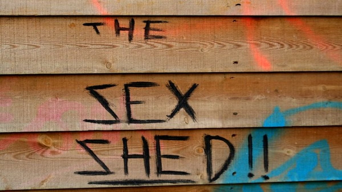 Southend Sexual Shed Scandal