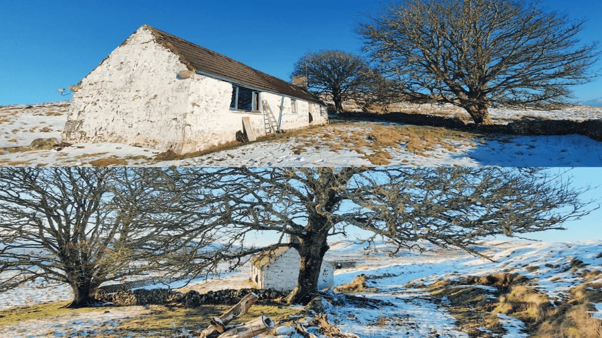Far From The Madding Crowd (But Well-Near The Whisky)