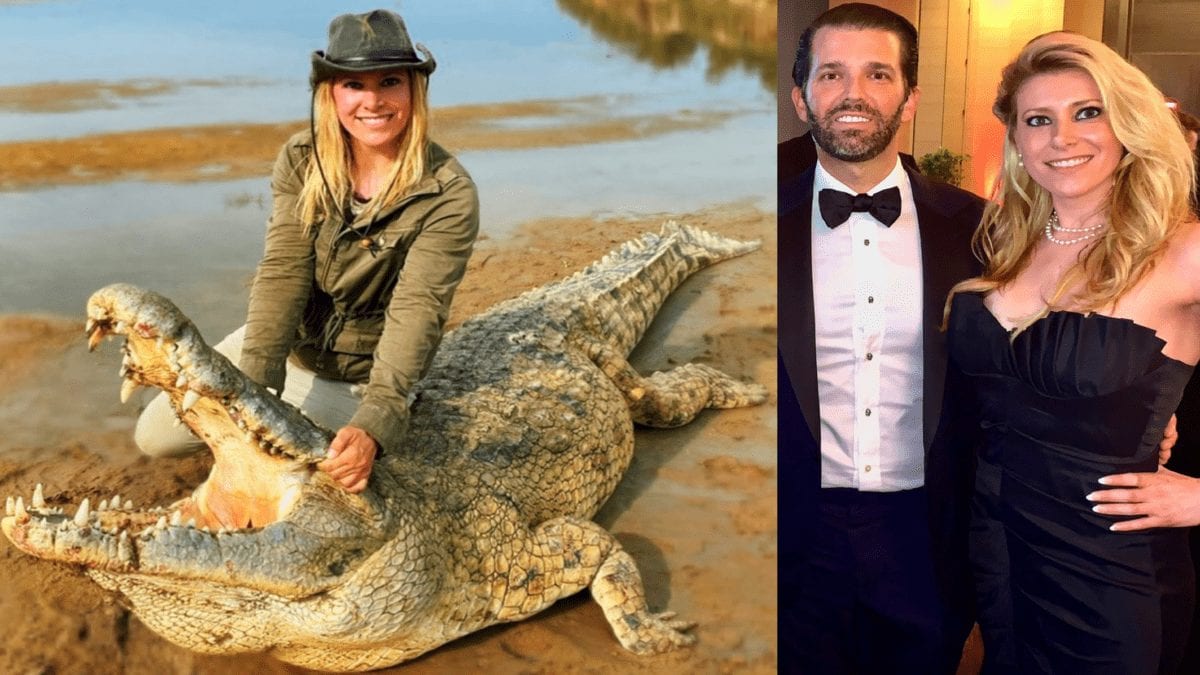 Switlyk’s Crocodile Calamity