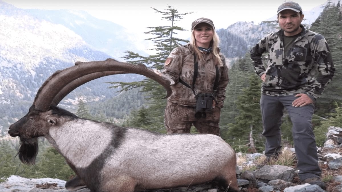 Saving Ibex; Stopping Switlyk