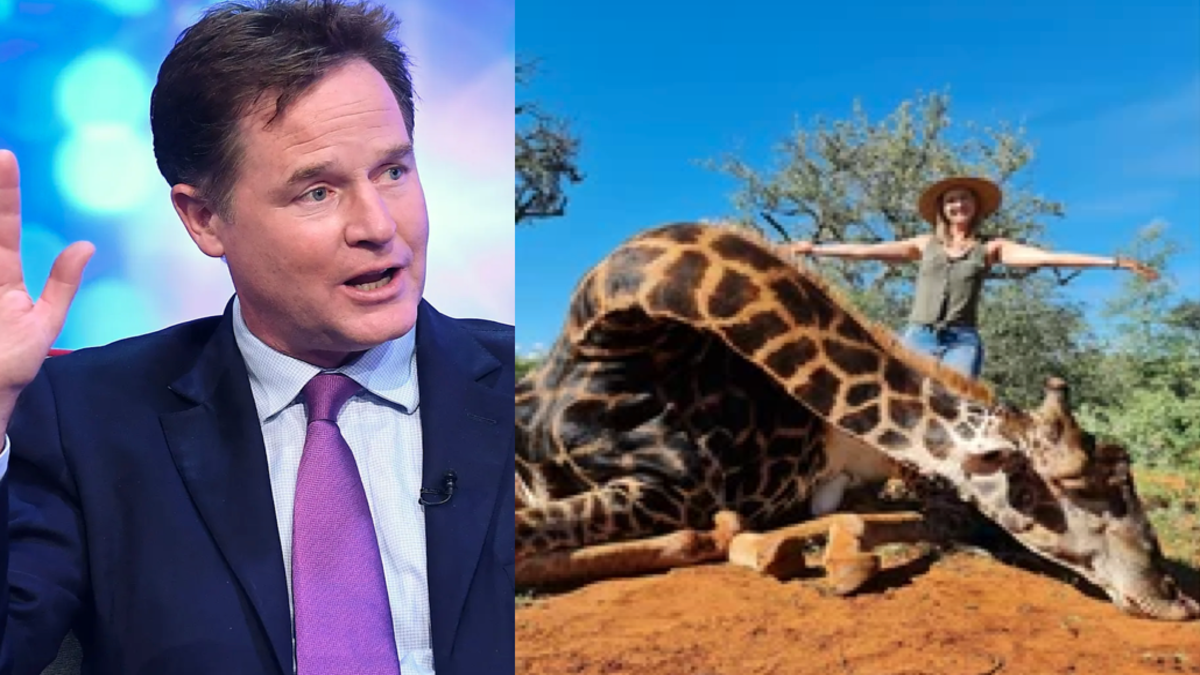 A Call To Clegg