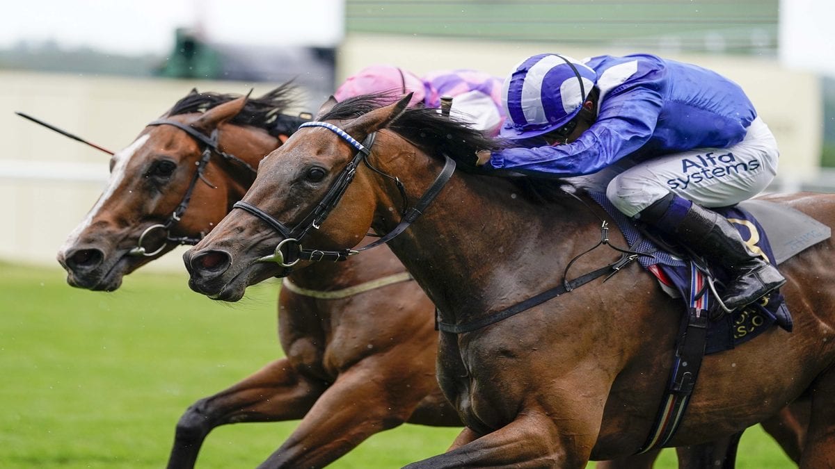 Runners & Riders – Day 1, Royal Ascot 2021