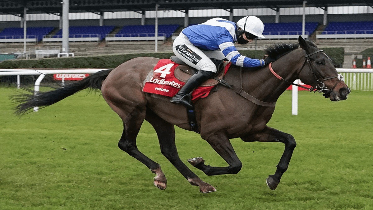 Runners & Riders – Boxing Day 2021 Racing Tips – King George VI Chase