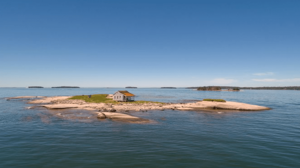 Do Duck, Don’t Crap – Primitive Private Island On Sale