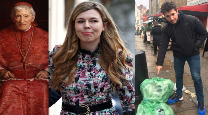 Carrie Antoinette, The Cardinal & The Binned Abba Dancing Spad