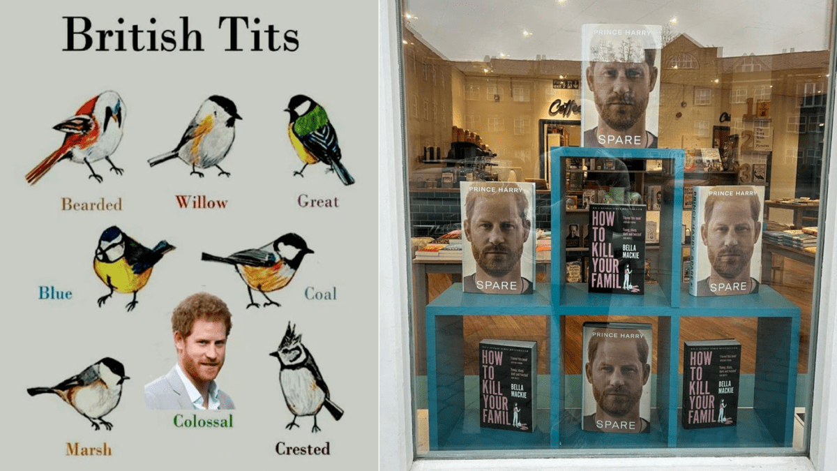 Did Prince Harry Have To Share Details About His “Todger”?