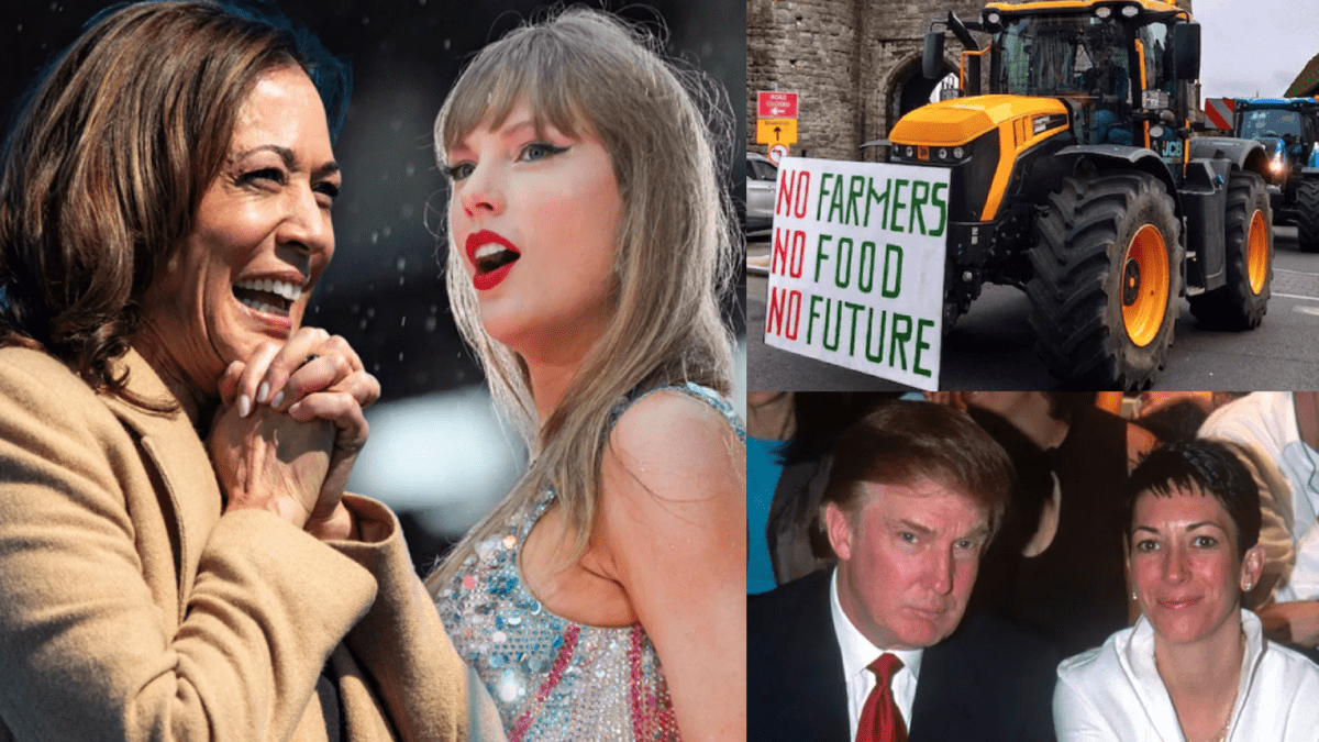 Steeples Says – Matthew Steeples On Trending Topics, 12th November 2024